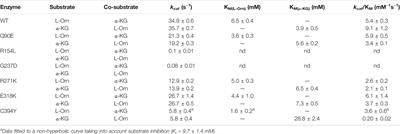 Molecular and Cellular Studies Reveal Folding Defects of Human Ornithine Aminotransferase Variants Associated With Gyrate Atrophy of the Choroid and Retina